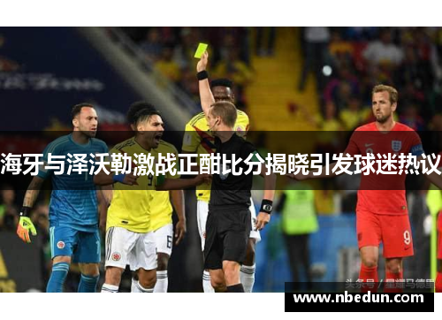 海牙与泽沃勒激战正酣比分揭晓引发球迷热议